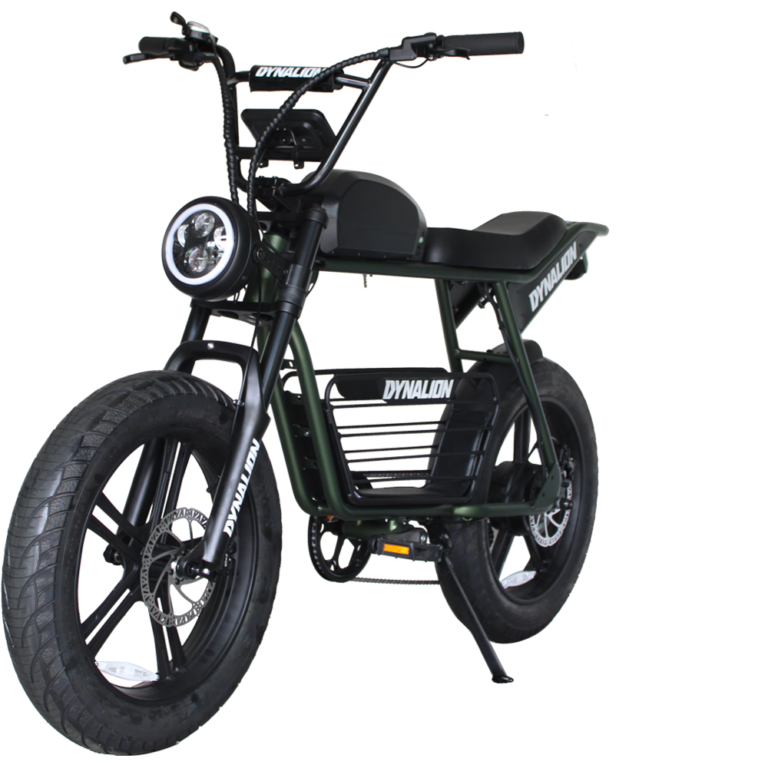 Električni bicikl Dynalion - Zeleni - Električni bicikli