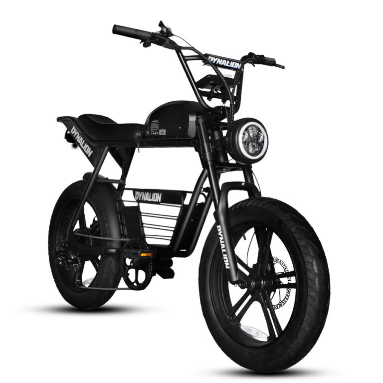 Dynalion električni bicikl u crnoj boji